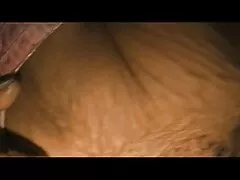 Mamada en autobús / autobús pillados follando casero / vanilla Lima